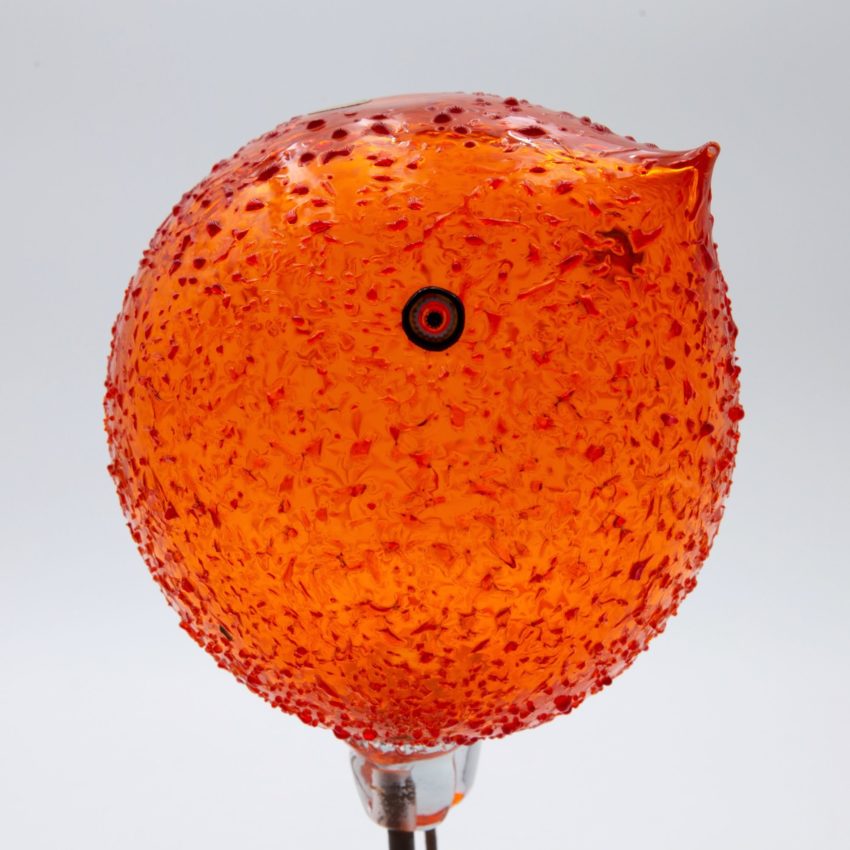 Orange Bird by Alessandro Pianon - img03