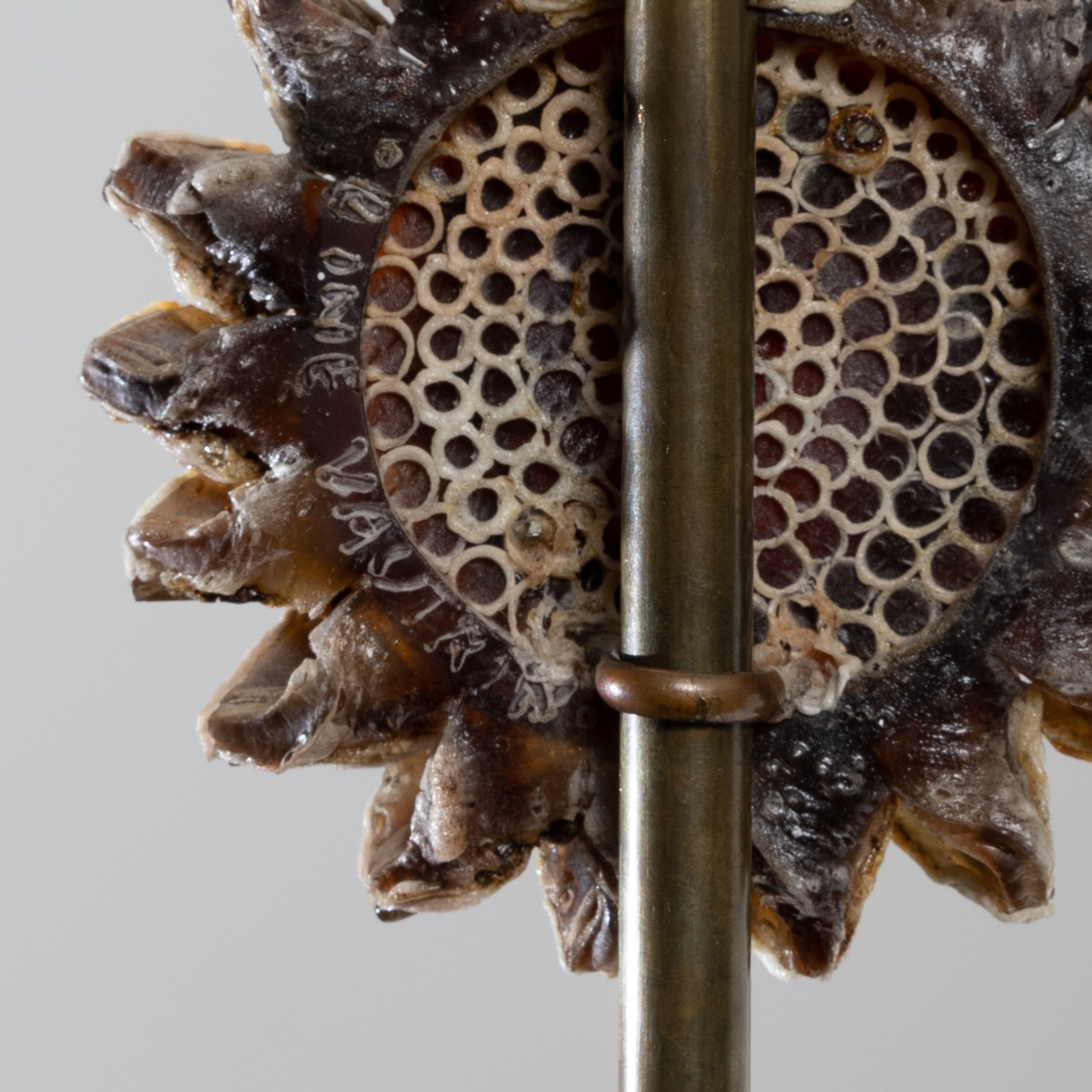 UF03_14 Lampe Fleur Talosel table lamp Line Vautrin -9