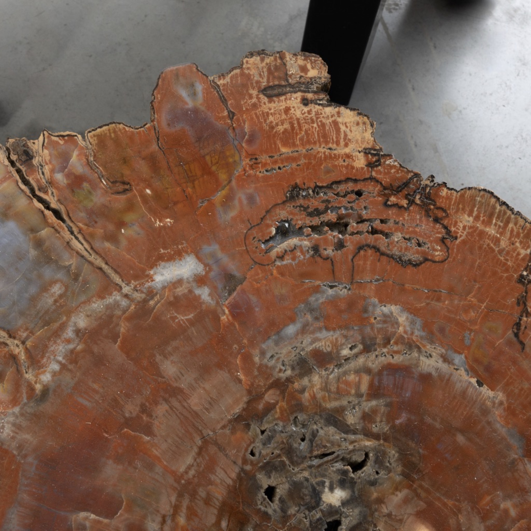 Set of three fossilized Arizona Sequoia coffee tables by Ado Chale
