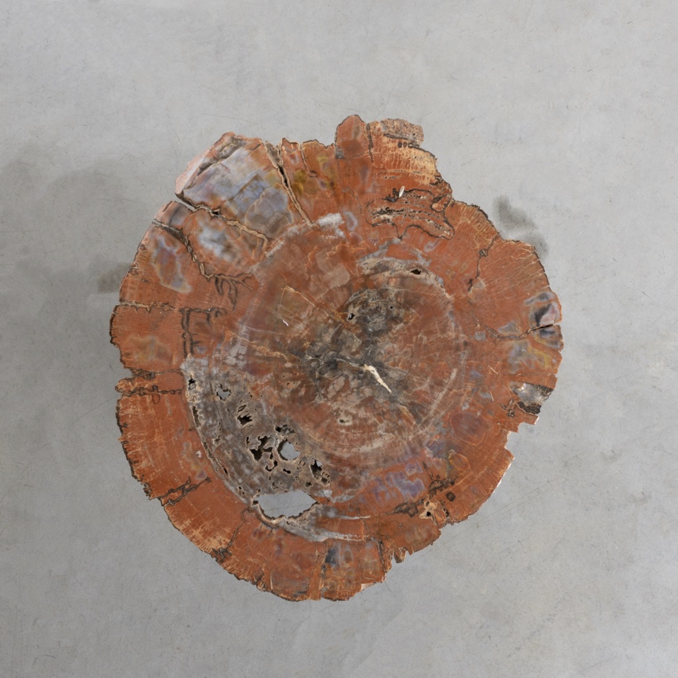 Set of three fossilized Arizona Sequoia coffee tables by Ado Chale
