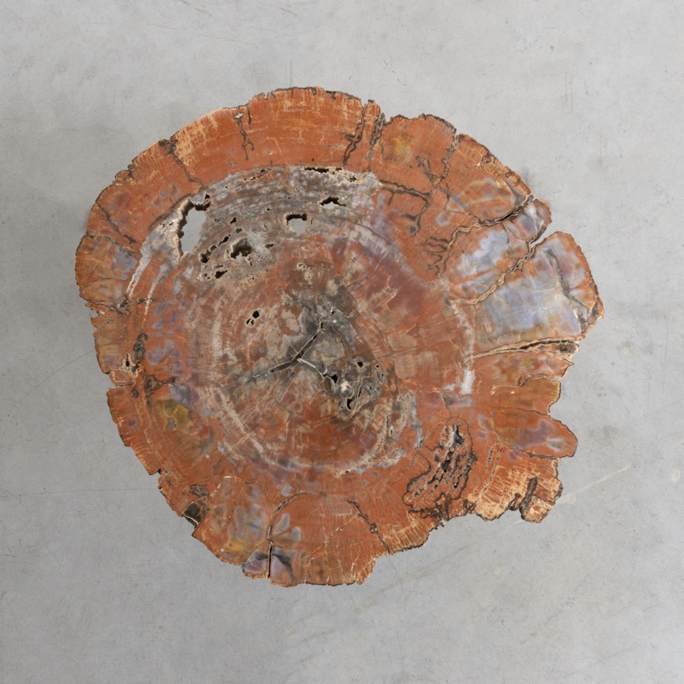 Set of three fossilized Arizona Sequoia coffee tables by Ado Chale