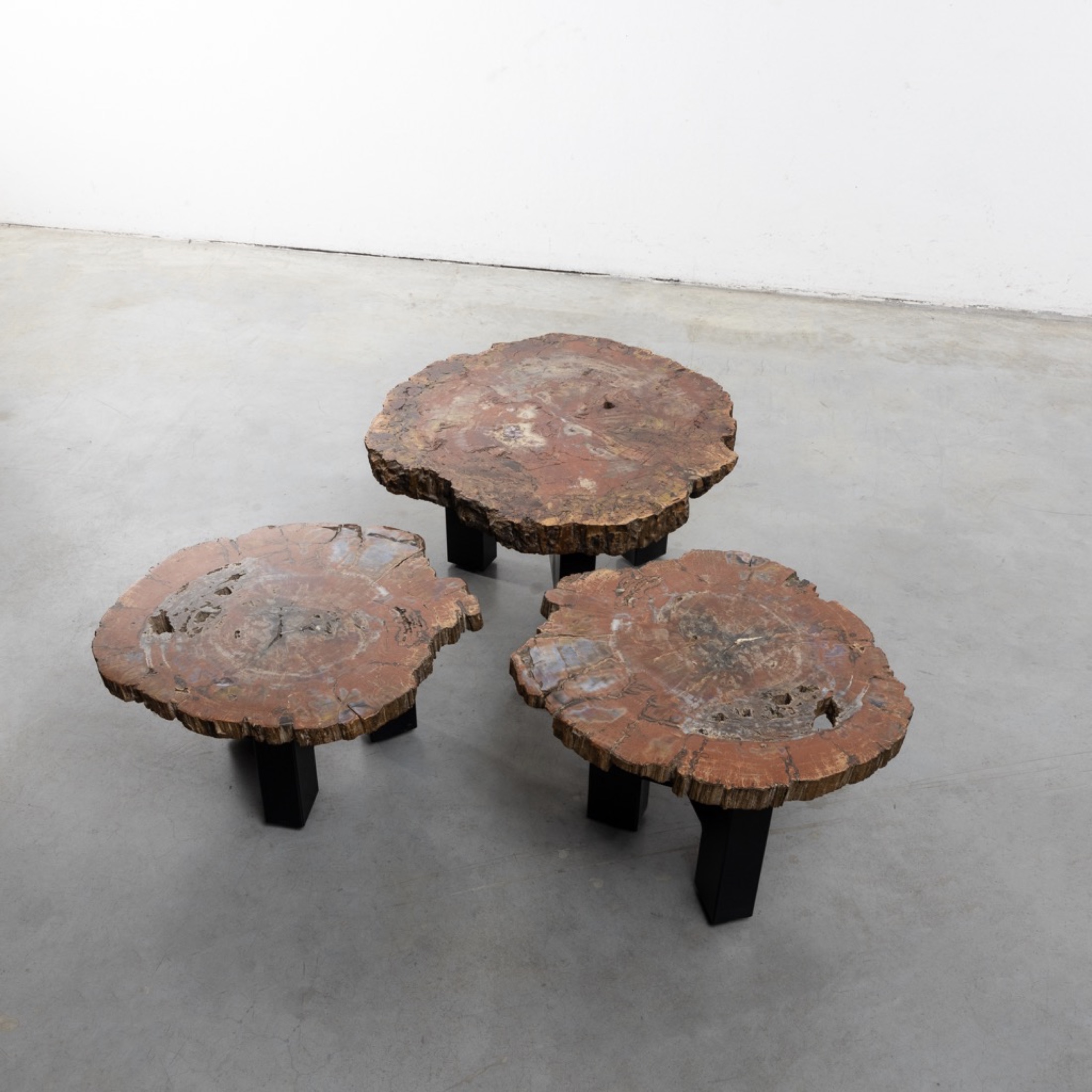 Set of three fossilized Arizona Sequoia coffee tables by Ado Chale