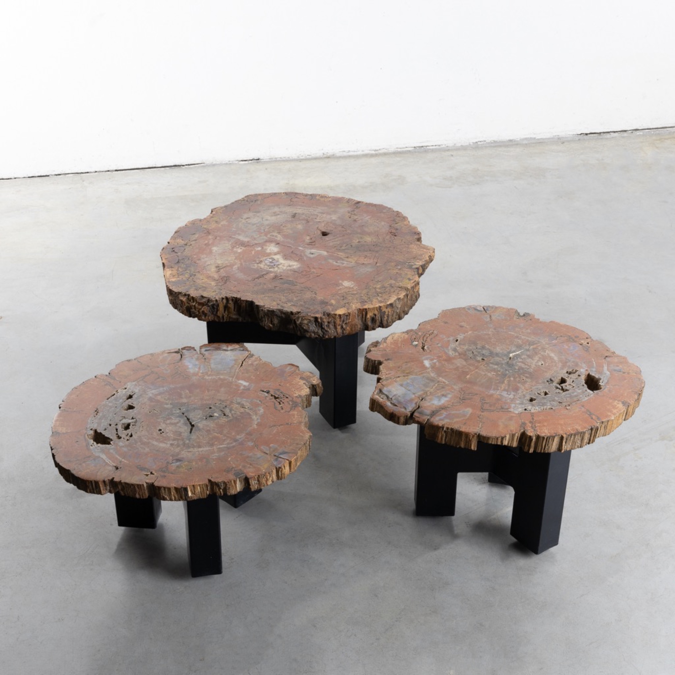 Set of three fossilized Arizona Sequoia coffee tables by Ado Chale
