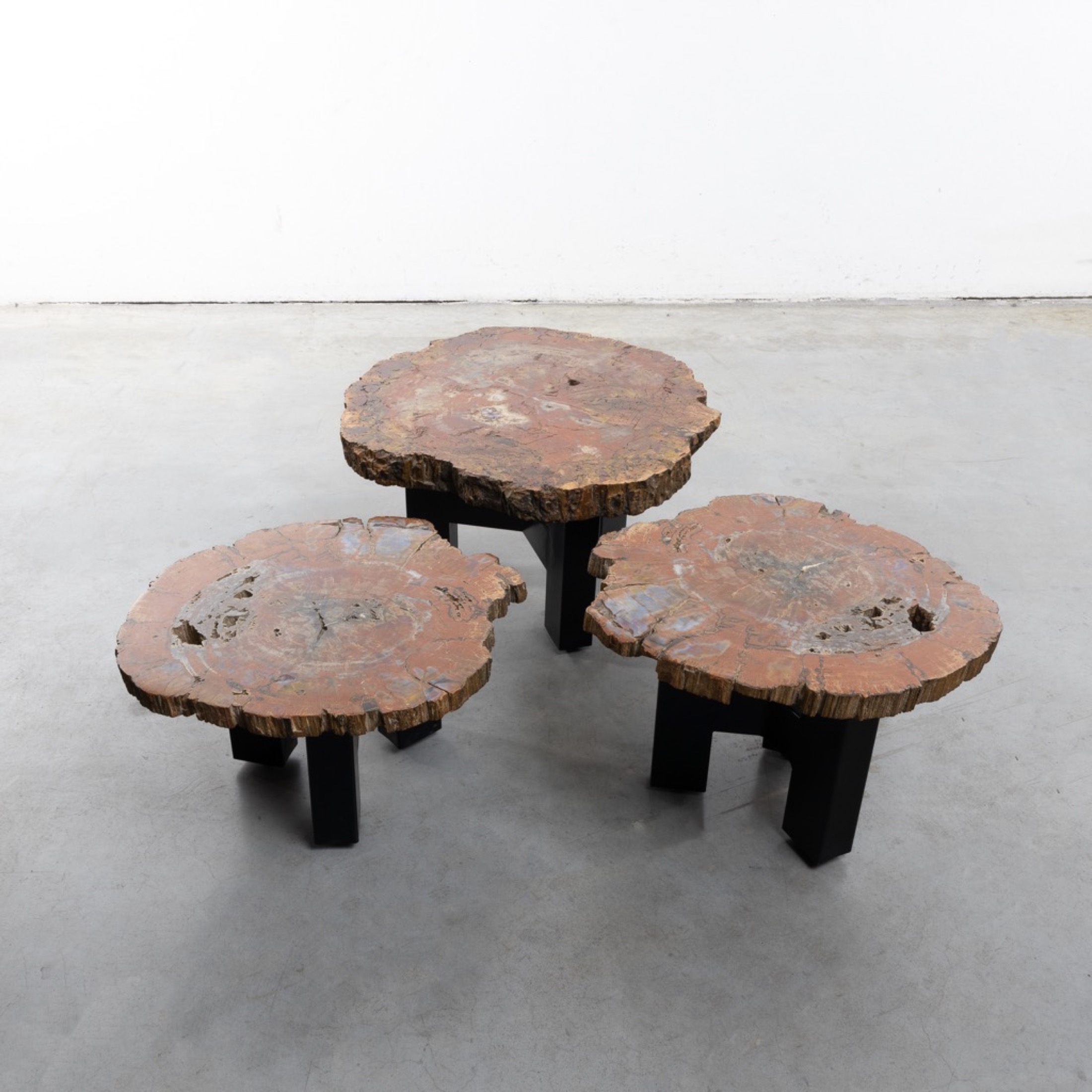 Set of three fossilized Arizona Sequoia coffee tables by Ado Chale