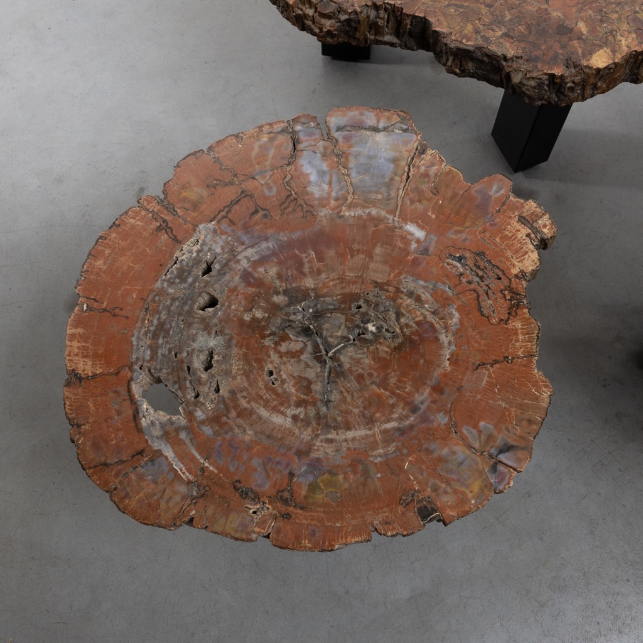 Set of three fossilized Arizona Sequoia coffee tables by Ado Chale