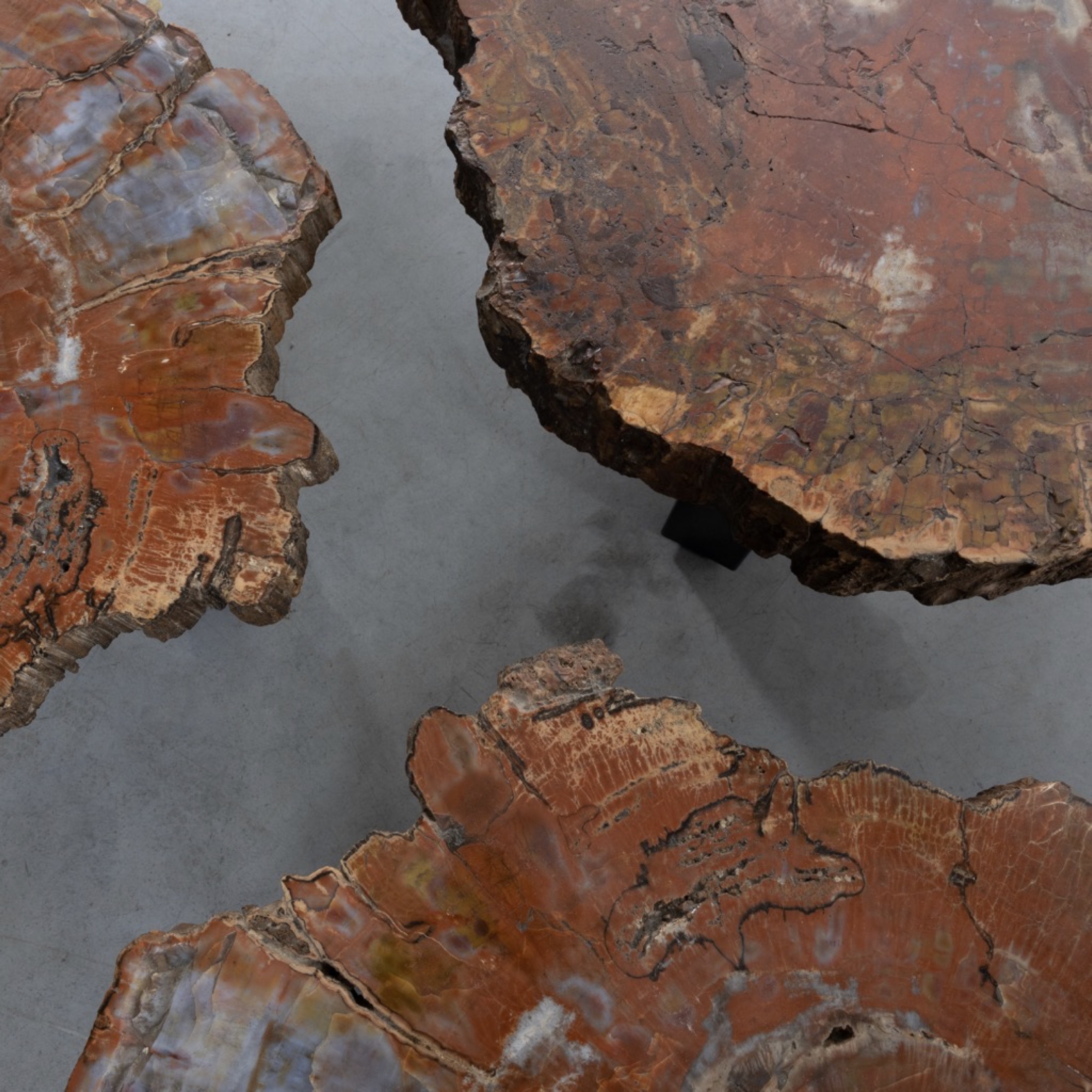 Set of three fossilized Arizona Sequoia coffee tables by Ado Chale